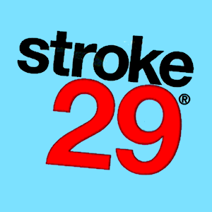 STROKE 29