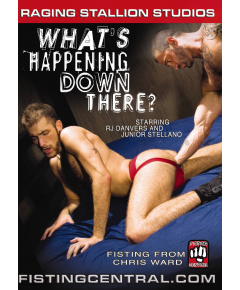 FISTPACK 23 - WHAT'S HAPPENING DOWN THERE