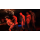 GANG OF FIVE - SCENE 2