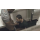 PUBLIC MEAT - SCENE 1 - TOILET FUCK