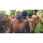 NYMPHO-MAN - PART 04 - THE LOADING