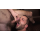 SUCK DICK SAVE THE WORLD 7 - BONUS CUMSHOTS